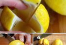 Why keeping a lemon in your bedroom is a great idea